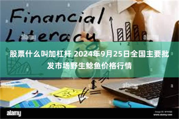 股票什么叫加杠杆 2024年9月25日全国主要批发市场野生鲶鱼价格行情