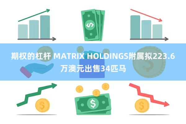 期权的杠杆 MATRIX HOLDINGS附属拟223.6万澳元出售34匹马