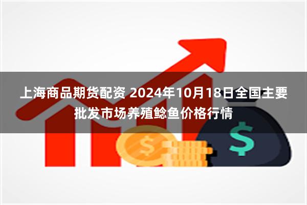 上海商品期货配资 2024年10月18日全国主要批发市场养殖鲶鱼价格行情