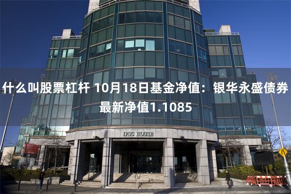 什么叫股票杠杆 10月18日基金净值：银华永盛债券最新净值1.1085