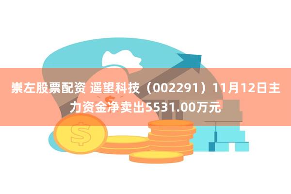 崇左股票配资 遥望科技（002291）11月12日主力资金净卖出5531.00万元