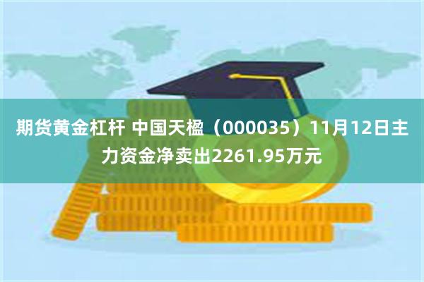 期货黄金杠杆 中国天楹（000035）11月12日主力资金净卖出2261.95万元