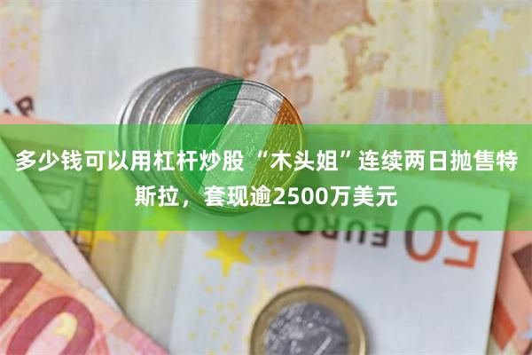 多少钱可以用杠杆炒股 “木头姐”连续两日抛售特斯拉，套现逾2500万美元