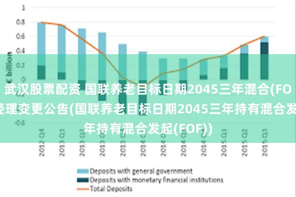 武汉股票配资 国联养老目标日期2045三年混合(FOF): 基金经理变更公告(国联养老目标日期2045三年持有混合发起(FOF))