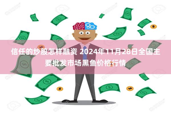 信任的炒股怎样融资 2024年11月28日全国主要批发市场黑鱼价格行情