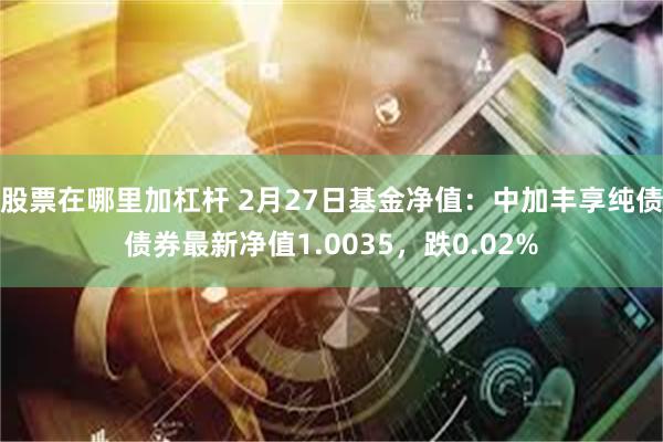 股票在哪里加杠杆 2月27日基金净值：中加丰享纯债债券最新净值1.0035，跌0.02%