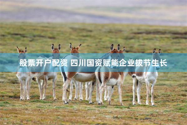 股票开户配资 四川国资赋能企业拔节生长