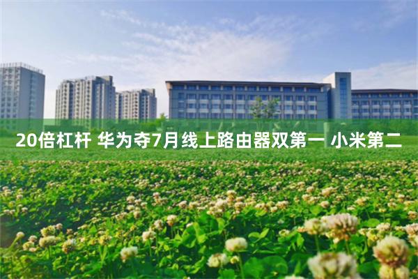 20倍杠杆 华为夺7月线上路由器双第一 小米第二
