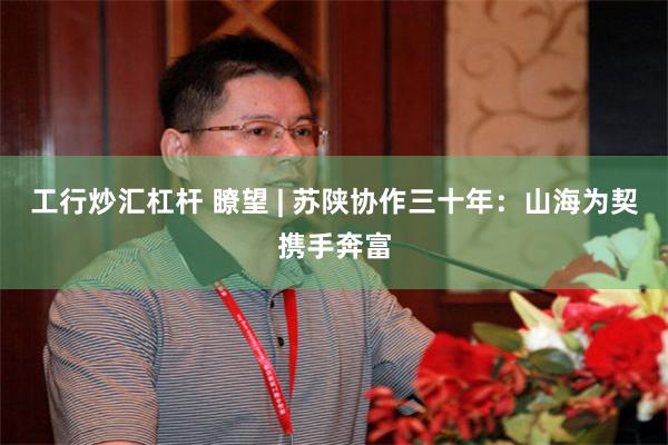 工行炒汇杠杆 瞭望 | 苏陕协作三十年：山海为契携手奔富
